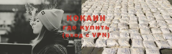 сатива Новокубанск