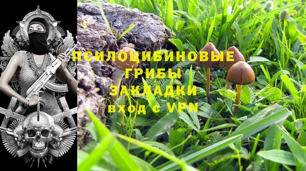 COCAINE Новозыбков
