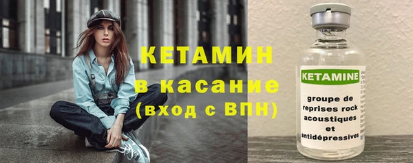 сатива Новокубанск