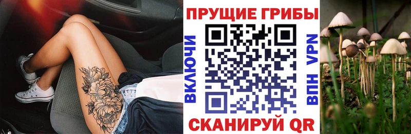 Галлюциногенные грибы мицелий  Купить  Дмитров 